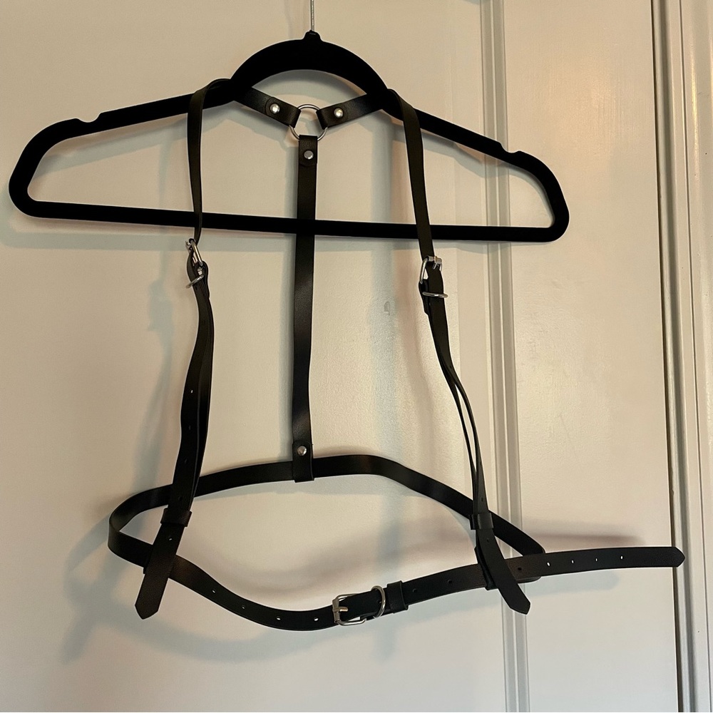 Simple Leather Harness: Size Small